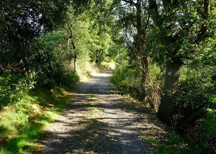 Ferienwohnung-zum-kueppchen 公寓 Münstermaifeld