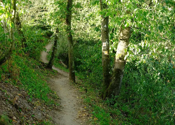 Ferienwohnung-zum-kueppchen * Münstermaifeld
