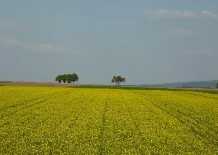 公寓 Ferienwohnung-zum-kueppchen