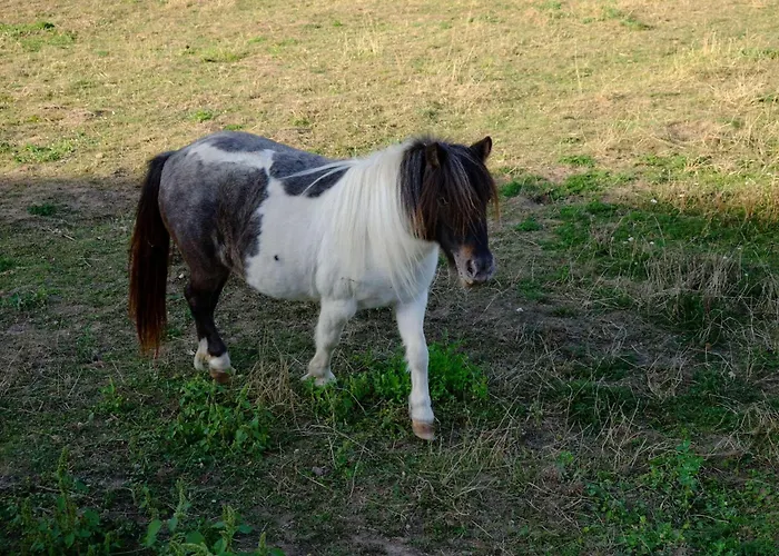 Ferienwohnung-zum-kueppchen